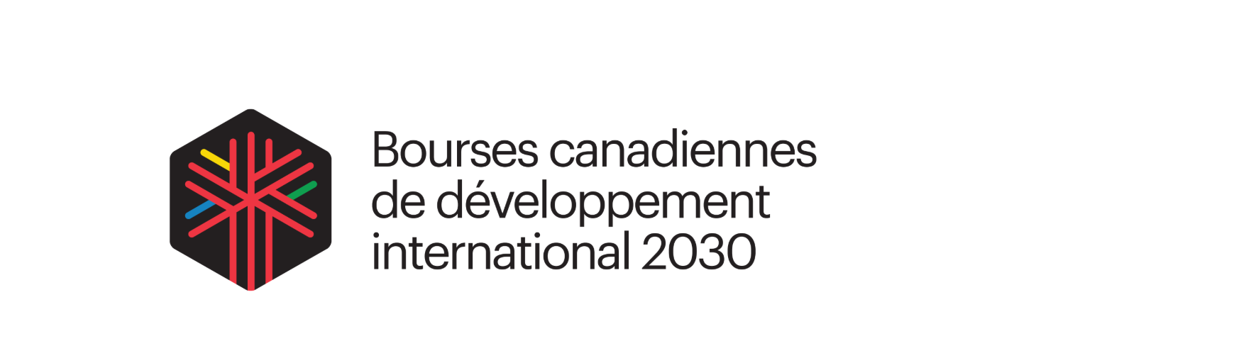 Appel à candidatures – Bourses canadiennes de développement international 2030 (BCDI) – Université de l’Alberta