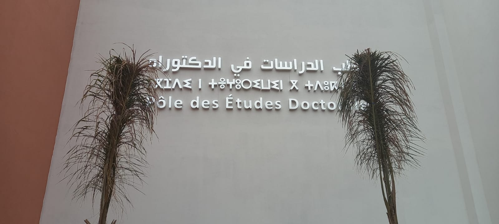 Pôle des études doctorales