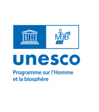 Appel à candidatures – Bourse MAB 2025 pour les jeunes scientifiques